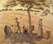 Pick Apple Camille Pissarro